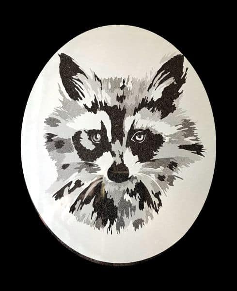 etched raccoon