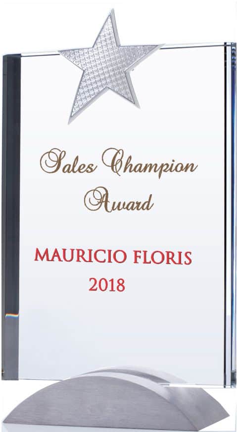 sales champion award