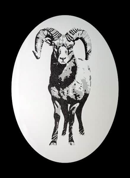 etched big-horn sheep