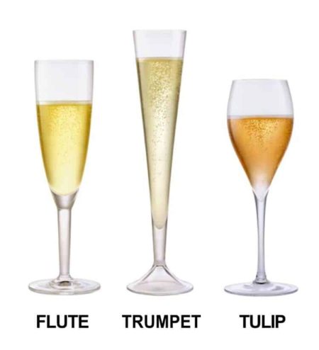 shapes of flute champagne glasses