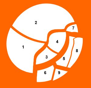 Gluing order in plate with multiple breaks