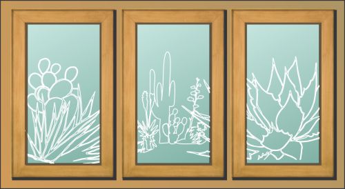 Sandblasted Sonoran Desert scene