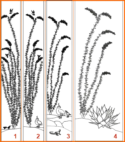 Sonoran etched designs 1-4