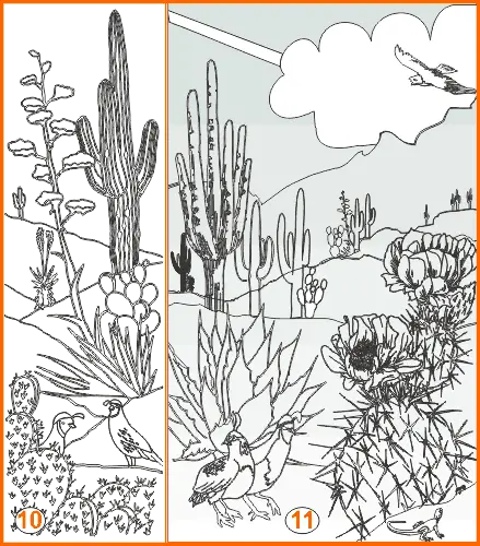 Hand drawn Sonoran etched designs 10-11