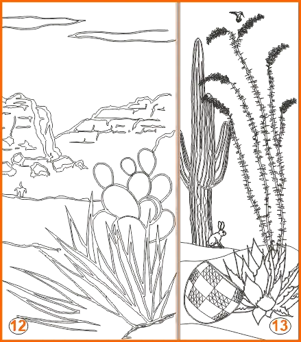 Hand drawn Sonoran etched designs 12-13