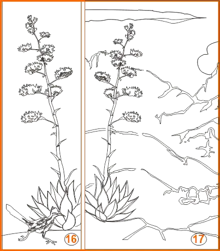 Hand drawn Sonoran etched designs 16-17