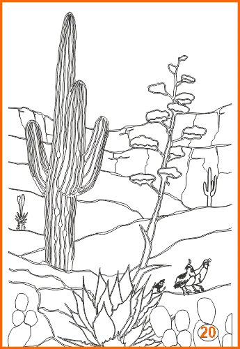 Hand drawn Sonoran etched design #20