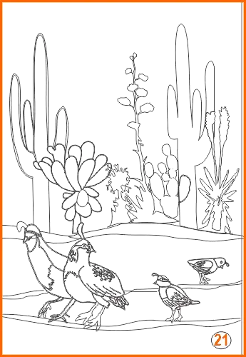 Hand drawn Sonoran etched design #20 by Artistry in Glass