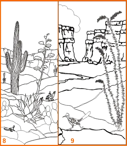 Hand drawn Sonoran etched designs 8-9