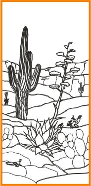 Saguaro and agave