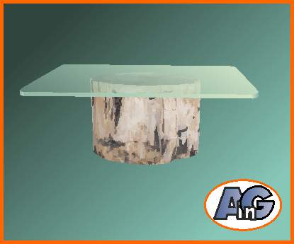 glass tabletop on petrified wood base