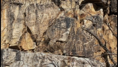 Petroglyphs in King Canyon Tucson